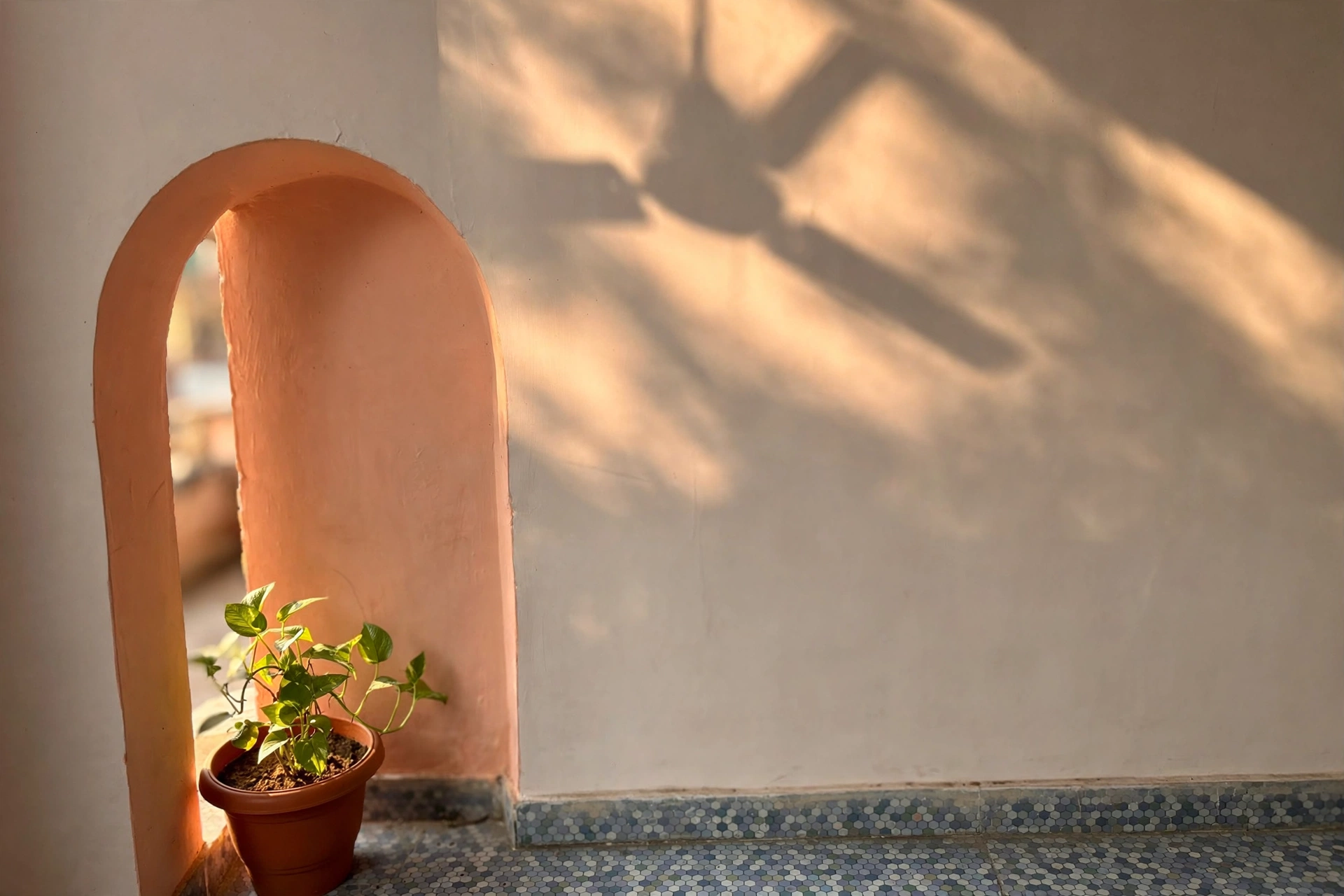 Late-afternoon sunlight, a ceiling fan's shadow, and the money plant by the rounded arch